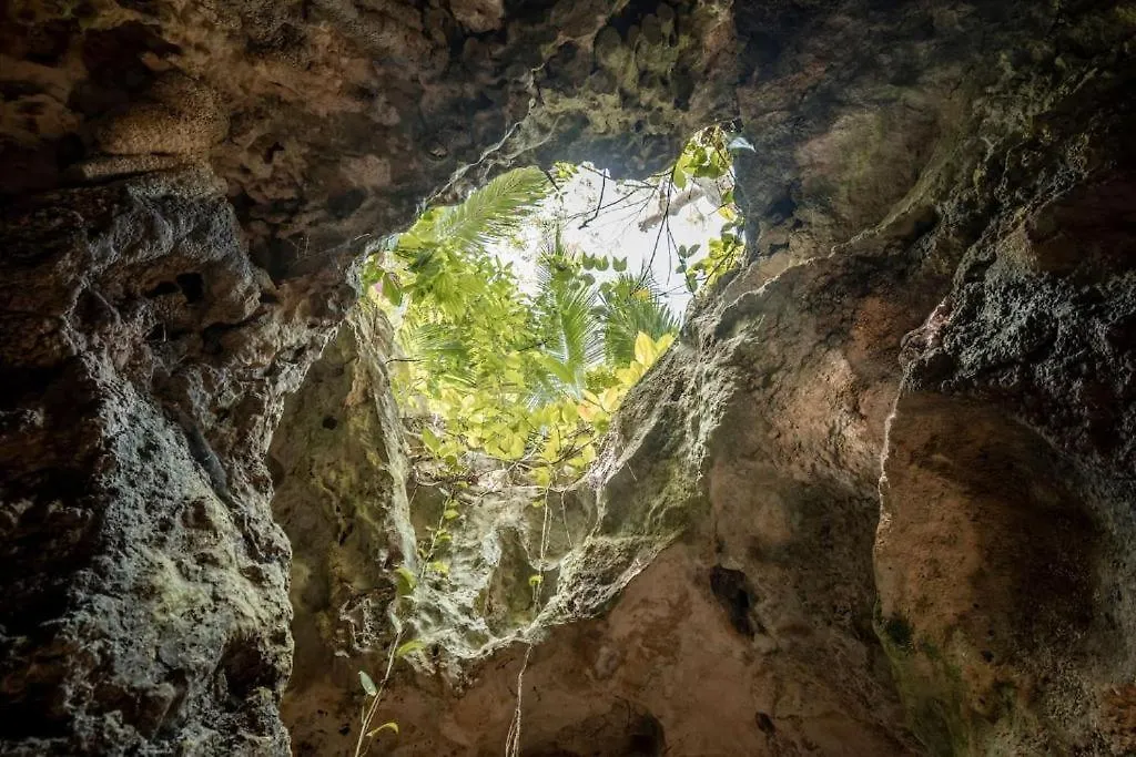Luksusowy namiot Xcaret Jungle Private Cave Stay Playa del Carmen Meksyk