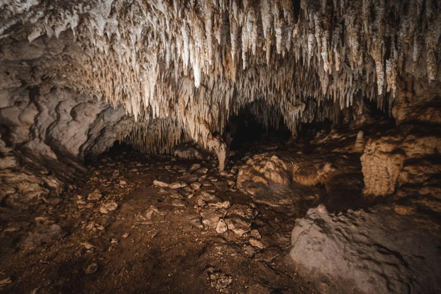 Xcaret Jungle Private Cave Stay Playa del Carmen Meksyk